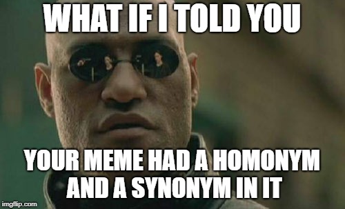 Matrix Morpheus Meme | WHAT IF I TOLD YOU YOUR MEME HAD A HOMONYM AND A SYNONYM IN IT | image tagged in memes,matrix morpheus | made w/ Imgflip meme maker