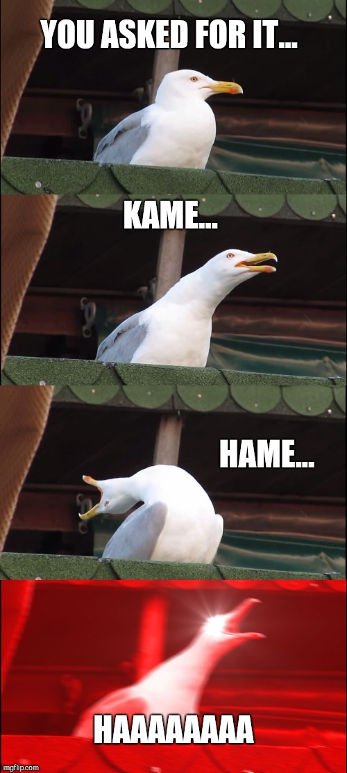 Inhaling Seagull | YOU ASKED FOR IT... KAME... HAME... HAAAAAAAA | image tagged in memes,inhaling seagull | made w/ Imgflip meme maker