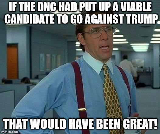 That Would Be Great Meme | IF THE DNC HAD PUT UP A VIABLE CANDIDATE TO GO AGAINST TRUMP THAT WOULD HAVE BEEN GREAT! | image tagged in memes,that would be great | made w/ Imgflip meme maker