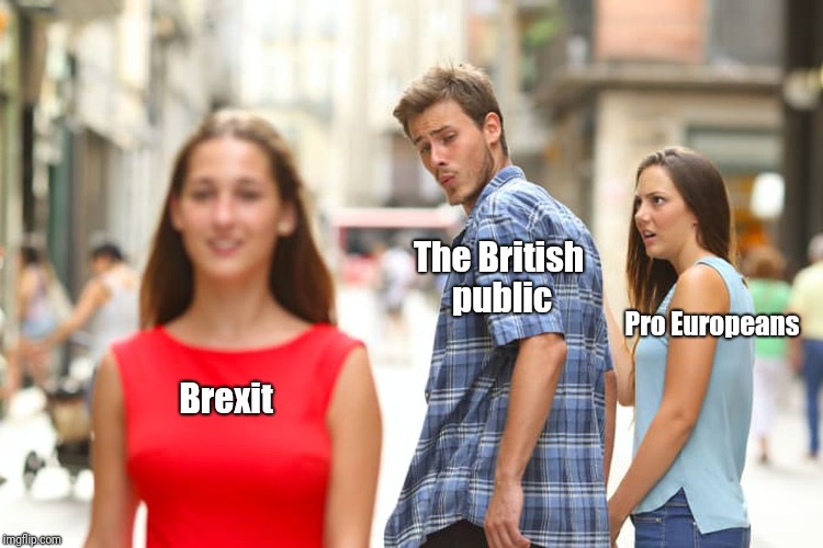 Distracted Boyfriend Meme | The British public; Pro Europeans; Brexit | image tagged in memes,distracted boyfriend | made w/ Imgflip meme maker