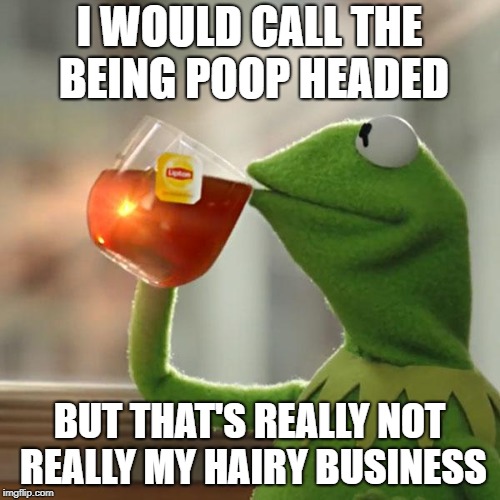 But That's None Of My Business Meme | I WOULD CALL THE BEING POOP HEADED BUT THAT'S REALLY NOT REALLY MY HAIRY BUSINESS | image tagged in memes,but thats none of my business,kermit the frog | made w/ Imgflip meme maker