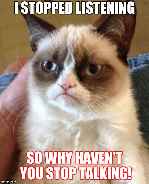 Grumpy Cat | I STOPPED LISTENING; SO WHY HAVEN'T YOU STOP TALKING! | image tagged in memes,grumpy cat | made w/ Imgflip meme maker