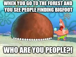 WHO ARE YOU PEOPLE? | WHEN YOU GO TO THE FOREST AND YOU SEE PEOPLE FINDING BIGFOOT; WHO ARE YOU PEOPLE?! | image tagged in who are you people | made w/ Imgflip meme maker