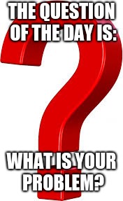 3d question mark | THE QUESTION OF THE DAY IS:; WHAT IS YOUR PROBLEM? | image tagged in 3d question mark | made w/ Imgflip meme maker