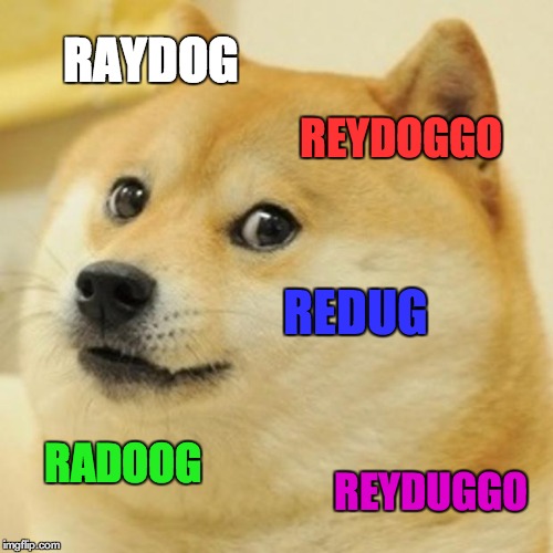 Doge Meme | RAYDOG REYDOGGO REDUG RADOOG REYDUGGO | image tagged in memes,doge | made w/ Imgflip meme maker