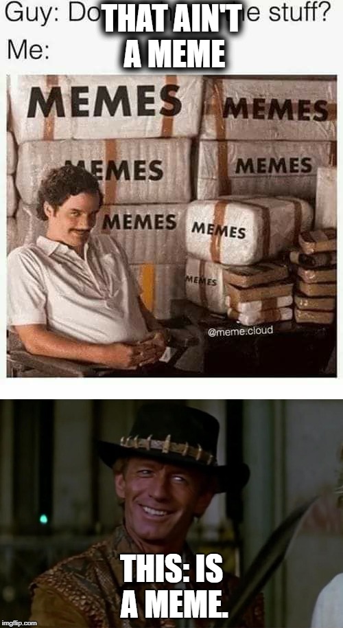 Say hello to my little meme.  | THAT AIN'T A MEME; THIS: IS A MEME. | image tagged in crocodile dundee,a meme about a meme,memeing,memes to meme | made w/ Imgflip meme maker