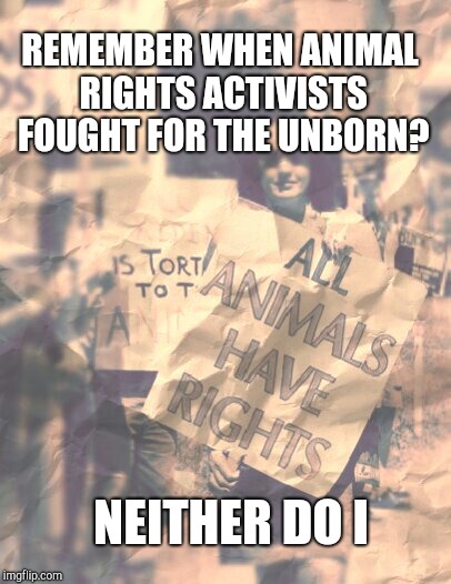 apparently animals' lives are worth more than humans | REMEMBER WHEN ANIMAL RIGHTS ACTIVISTS FOUGHT FOR THE UNBORN? NEITHER DO I | image tagged in animal rights,activist,unborn,abortion,harambe | made w/ Imgflip meme maker