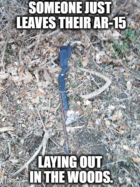 Drive a liberal nutz. Share this with them. | SOMEONE JUST LEAVES THEIR AR-15; LAYING OUT IN THE WOODS. | image tagged in ar15,gun control,gun laws,gun violence,funny memes | made w/ Imgflip meme maker