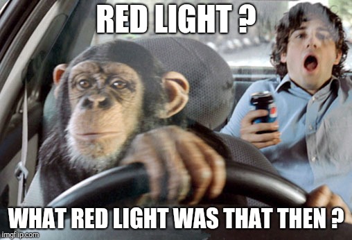 Monkey cab driver | RED LIGHT ? WHAT RED LIGHT WAS THAT THEN ? | image tagged in monkey cab driver | made w/ Imgflip meme maker
