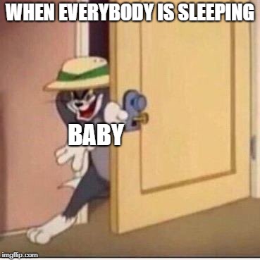 Sneaky tom | WHEN EVERYBODY IS SLEEPING; BABY | image tagged in sneaky tom | made w/ Imgflip meme maker