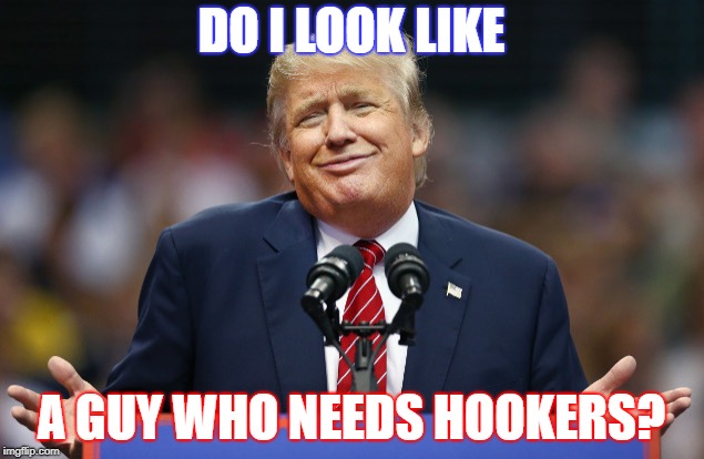  DO I LOOK LIKE; A GUY WHO NEEDS HOOKERS? | image tagged in donald trump,donald trump is an idiot,donald trump you're fired,donald trump approves,despicable donald,donald drumpf | made w/ Imgflip meme maker