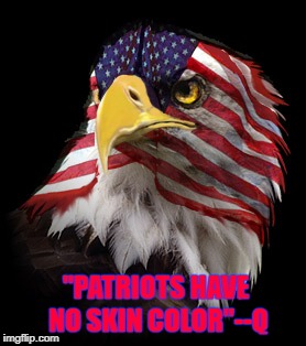 Flag Faced American Eagle | "PATRIOTS HAVE NO SKIN COLOR"--Q | image tagged in flag faced american eagle | made w/ Imgflip meme maker