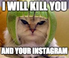 I WILL KILL YOU; AND YOUR INSTAGRAM | image tagged in funny memes | made w/ Imgflip meme maker