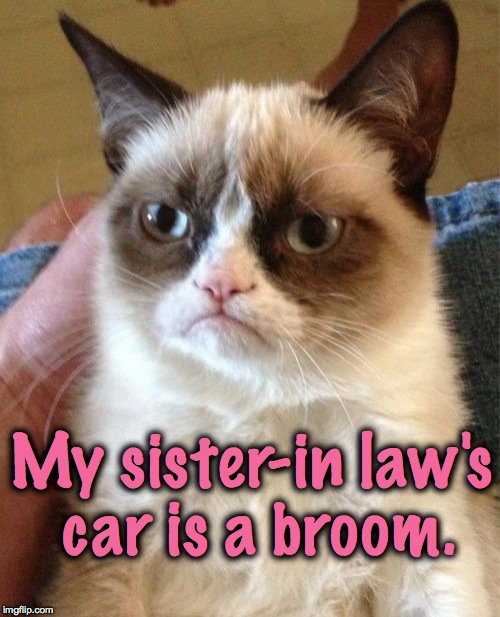 New Car Model --Vileda!!!! | My sister-in law's car is a broom. | image tagged in memes,grumpy cat | made w/ Imgflip meme maker