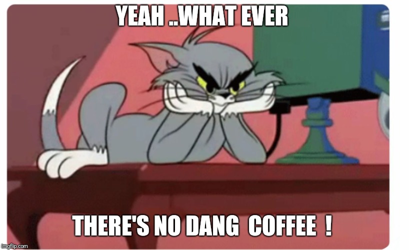 Yeah ..what ever  ! | YEAH ..WHAT EVER; THERE'S NO DANG  COFFEE  ! | image tagged in yeah what ever | made w/ Imgflip meme maker
