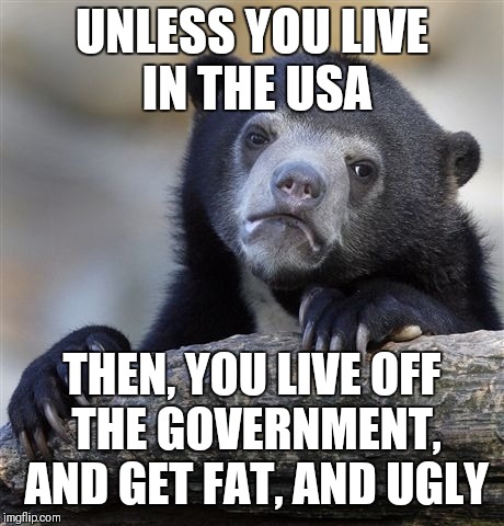 Confession Bear Meme | UNLESS YOU LIVE IN THE USA THEN, YOU LIVE OFF THE GOVERNMENT, AND GET FAT, AND UGLY | image tagged in memes,confession bear | made w/ Imgflip meme maker
