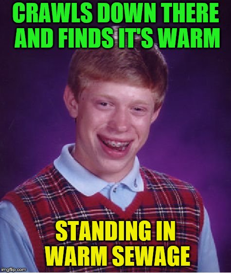Bad Luck Brian Meme | CRAWLS DOWN THERE AND FINDS IT'S WARM STANDING IN WARM SEWAGE | image tagged in memes,bad luck brian | made w/ Imgflip meme maker