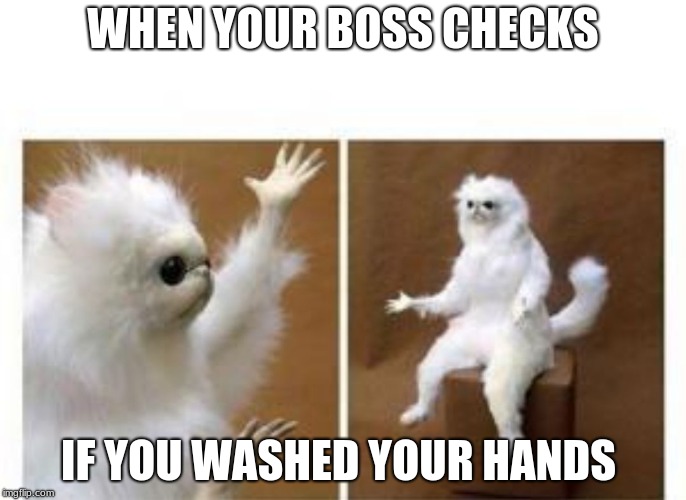 Confused white monkey | WHEN YOUR BOSS CHECKS; IF YOU WASHED YOUR HANDS | image tagged in confused white monkey | made w/ Imgflip meme maker