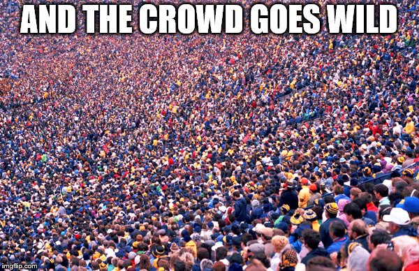 AND THE CROWD GOES WILD | made w/ Imgflip meme maker