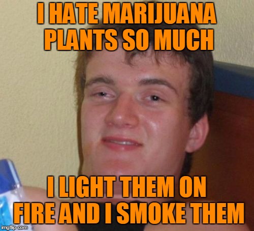 10 Guy Meme | I HATE MARIJUANA PLANTS SO MUCH I LIGHT THEM ON FIRE AND I SMOKE THEM | image tagged in memes,10 guy | made w/ Imgflip meme maker