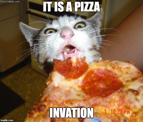 Pizza Cat | IT IS A PIZZA; INVATION | image tagged in pizza cat | made w/ Imgflip meme maker