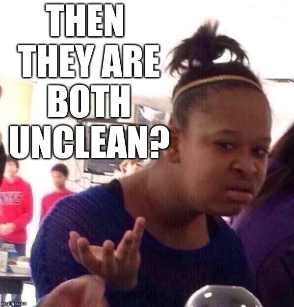 Black Girl Wat Meme | THEN THEY ARE BOTH UNCLEAN? | image tagged in memes,black girl wat | made w/ Imgflip meme maker
