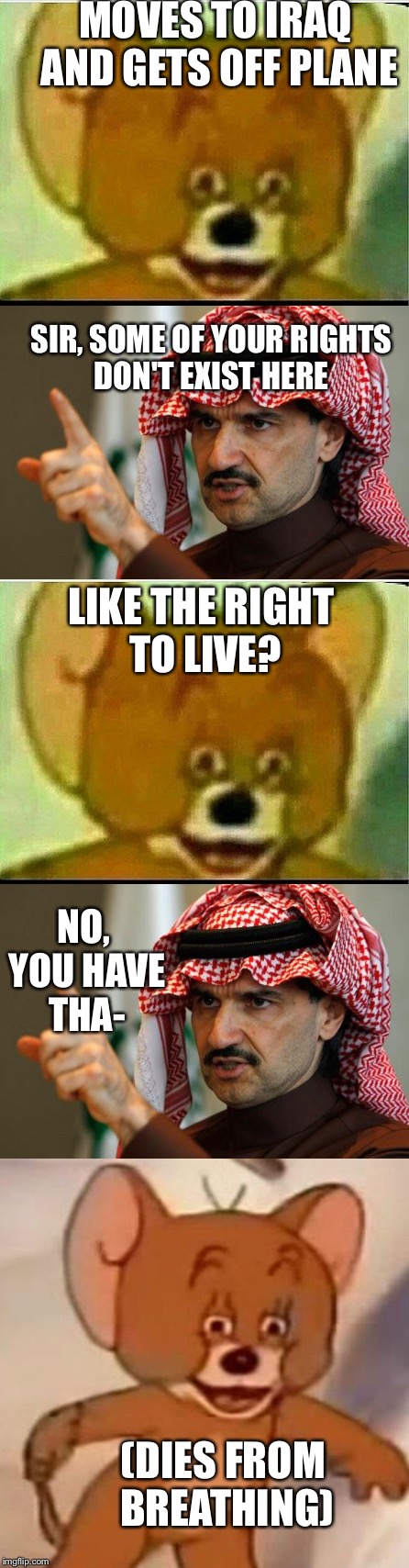 My dad kills sychotic mouse | MOVES TO IRAQ AND GETS OFF PLANE; SIR, SOME OF YOUR RIGHTS DON'T EXIST HERE; LIKE THE RIGHT TO LIVE? NO, YOU HAVE THA-; (DIES FROM BREATHING) | image tagged in jerry,arab,suicide,shitty meme | made w/ Imgflip meme maker