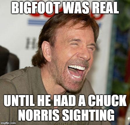 Keep it Squatchy  | BIGFOOT WAS REAL; UNTIL HE HAD A CHUCK NORRIS SIGHTING | image tagged in memes,chuck norris laughing,chuck norris | made w/ Imgflip meme maker