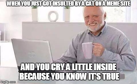 WHEN YOU JUST GOT INSULTED BY A CAT ON A MEME SITE AND YOU CRY A LITTLE INSIDE BECAUSE YOU KNOW IT'S TRUE | made w/ Imgflip meme maker