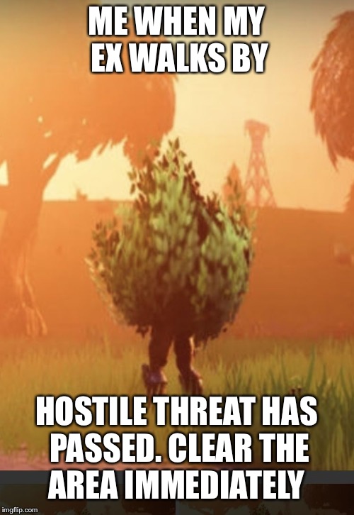 Fortnite bush | ME WHEN MY EX WALKS BY; HOSTILE THREAT HAS PASSED. CLEAR THE AREA IMMEDIATELY | image tagged in fortnite bush | made w/ Imgflip meme maker