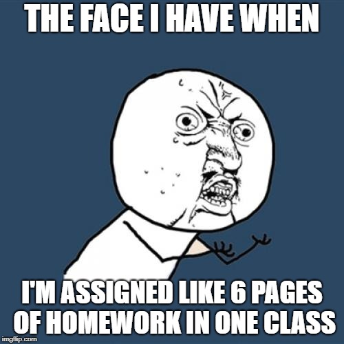 Why schooooool?
 | THE FACE I HAVE WHEN; I'M ASSIGNED LIKE 6 PAGES OF HOMEWORK IN ONE CLASS | image tagged in memes,y u no | made w/ Imgflip meme maker