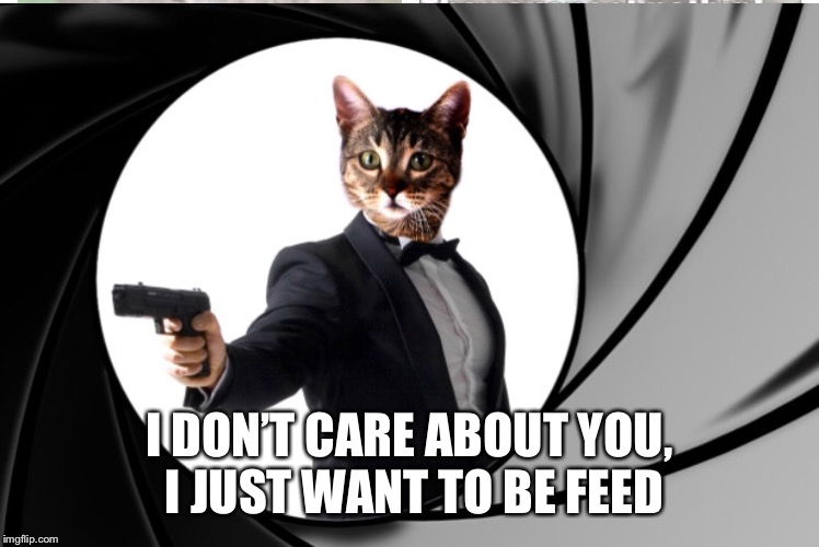 I DON’T CARE ABOUT YOU, I JUST WANT TO BE FEED | made w/ Imgflip meme maker