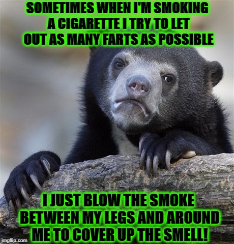 Confession Bear Meme | SOMETIMES WHEN I'M SMOKING A CIGARETTE I TRY TO LET OUT AS MANY FARTS AS POSSIBLE; I JUST BLOW THE SMOKE BETWEEN MY LEGS AND AROUND ME TO COVER UP THE SMELL! | image tagged in memes,confession bear | made w/ Imgflip meme maker
