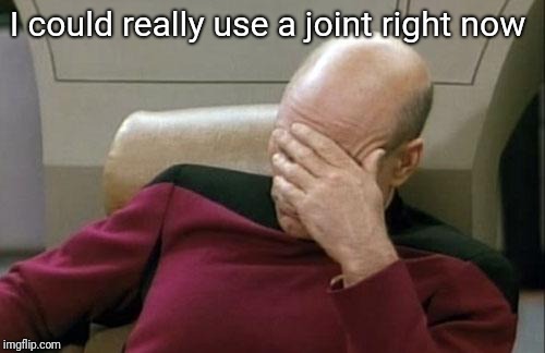 Captain Picard Facepalm Meme | I could really use a joint right now | image tagged in memes,captain picard facepalm | made w/ Imgflip meme maker