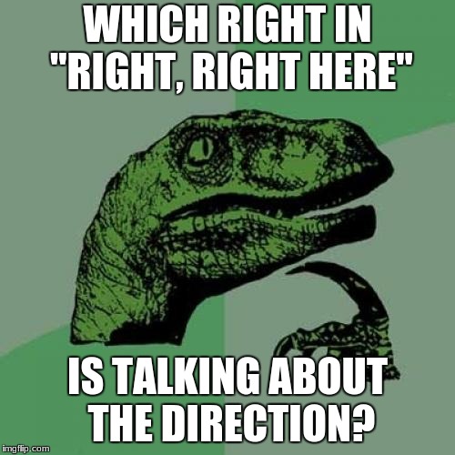 Philosoraptor Meme | WHICH RIGHT IN "RIGHT, RIGHT HERE"; IS TALKING ABOUT THE DIRECTION? | image tagged in memes,philosoraptor | made w/ Imgflip meme maker