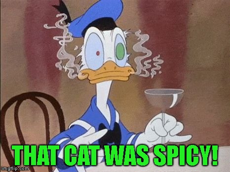 THAT CAT WAS SPICY! | made w/ Imgflip meme maker