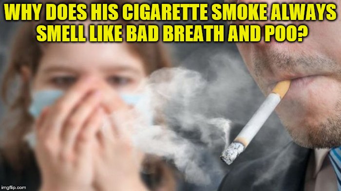 WHY DOES HIS CIGARETTE SMOKE ALWAYS SMELL LIKE BAD BREATH AND POO? | made w/ Imgflip meme maker