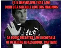 Spockizzle mah Nizzle | IT IS IMPERATIVE THAT I AM FOND OF A SIZEABLE GLUTEUS MAXIMUS; AS LOGIC DICTATES I AM INCAPABLE OF UTTERING A FALSEHOOD,  CAPTAIN! | image tagged in memes,funny,dank,spock,snoop,high af | made w/ Imgflip meme maker