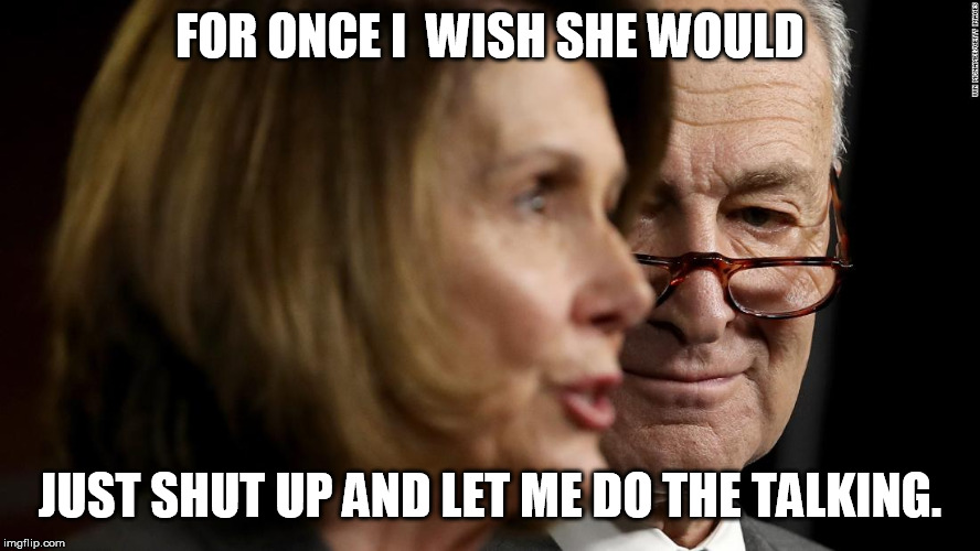 FOR ONCE I  WISH SHE WOULD; JUST SHUT UP AND LET ME DO THE TALKING. | image tagged in schumer pelosi | made w/ Imgflip meme maker