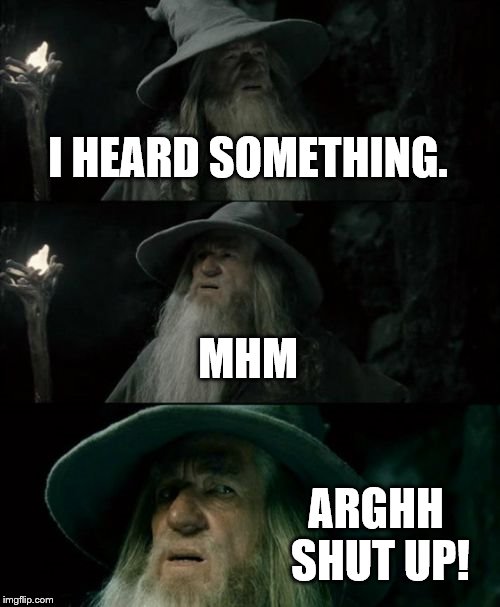 Confused Gandalf | I HEARD SOMETHING. MHM; ARGHH SHUT UP! | image tagged in memes,confused gandalf | made w/ Imgflip meme maker