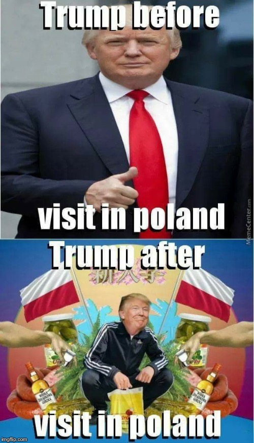 Slav Trump | image tagged in slav,donald trump,president,poland | made w/ Imgflip meme maker