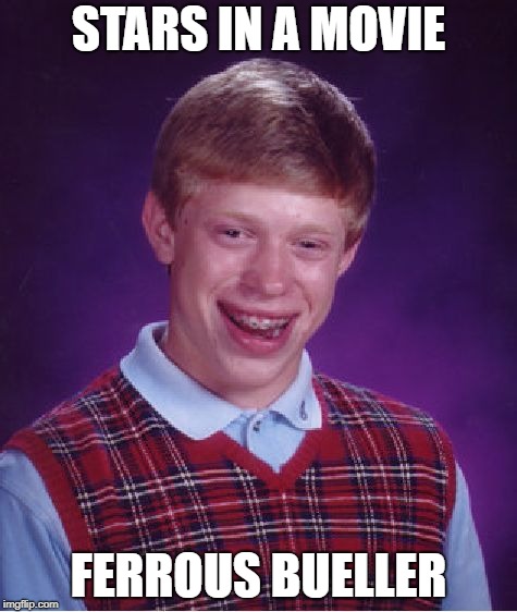 Bad Luck Brian Meme | STARS IN A MOVIE FERROUS BUELLER | image tagged in memes,bad luck brian | made w/ Imgflip meme maker