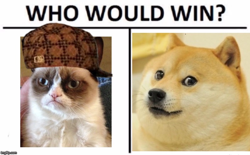 Doge v Grumpy Cat | image tagged in doge,grumpy cat,who would win | made w/ Imgflip meme maker