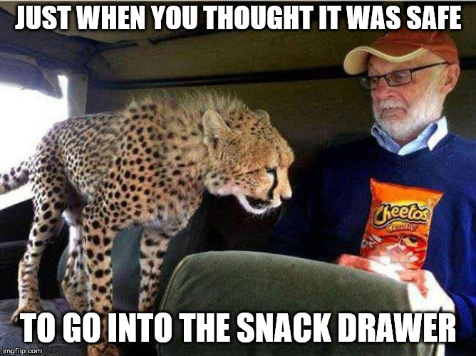Chester Cheetah can become very aggressive | JUST WHEN YOU THOUGHT IT WAS SAFE; TO GO INTO THE SNACK DRAWER | image tagged in cheetos,cheetah,snacks,dagashi | made w/ Imgflip meme maker