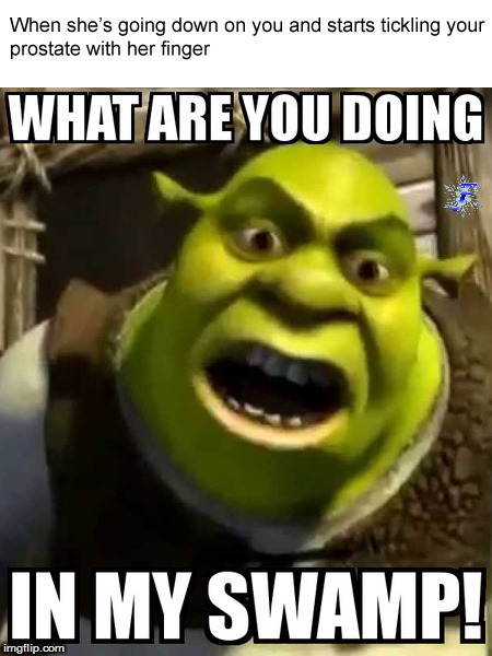 We're not there yet | image tagged in memes,shrek,nsfw | made w/ Imgflip meme maker