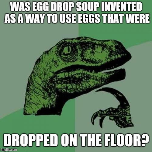Philosoraptor Meme | WAS EGG DROP SOUP INVENTED AS A WAY TO USE EGGS THAT WERE DROPPED ON THE FLOOR? | image tagged in memes,philosoraptor | made w/ Imgflip meme maker