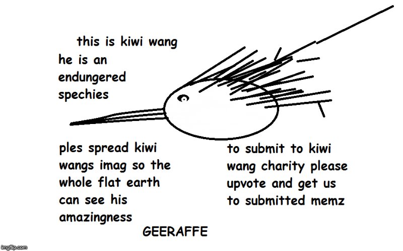 Keewi Wang | image tagged in keewi wang,memes,charity,geeraffe,funny memes | made w/ Imgflip meme maker