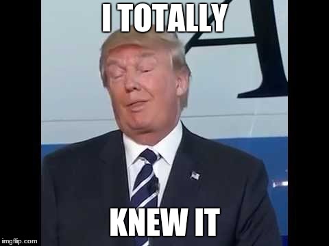 Trump Duh | I TOTALLY; KNEW IT | image tagged in trump duh | made w/ Imgflip meme maker