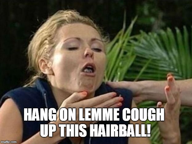 coughing up hairball | HANG ON LEMME COUGH UP THIS HAIRBALL! | image tagged in coughing up hairball | made w/ Imgflip meme maker