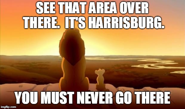 MUFASA AND SIMBA | SEE THAT AREA OVER THERE.  IT'S HARRISBURG. YOU MUST NEVER GO THERE | image tagged in mufasa and simba | made w/ Imgflip meme maker